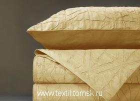 EM242609 (ٸ������ ����� ���������)