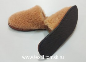 x 5245 (ٸ������ ����� ���������)