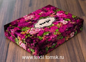 TS04X178 (ٸ������ ����� ���������)