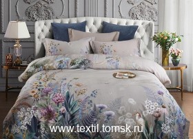 TIS07867 (ٸ������ ����� ���������)